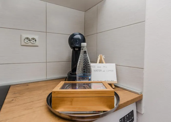 公寓 Royal Choice With Pool 扎达尔